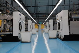 让送洗衣物像收寄快递般便捷——一群‘最会洗衣服’的男人诞生了